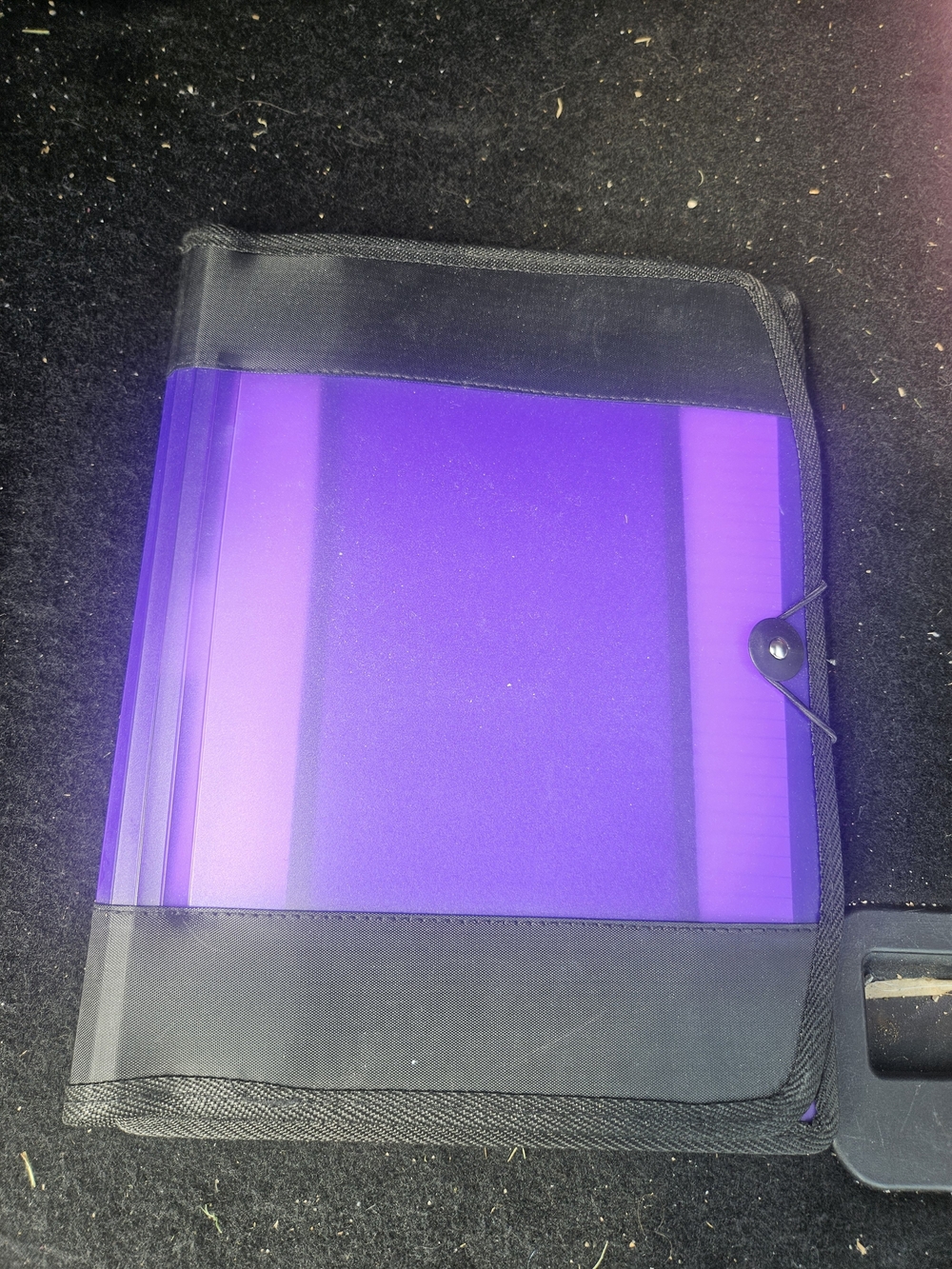 Plastic File Folder with Elastic Closure